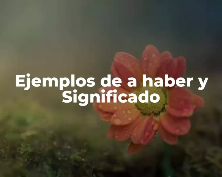 Ejemplos de a haber y Significado