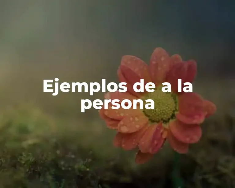 Ejemplos de a la persona