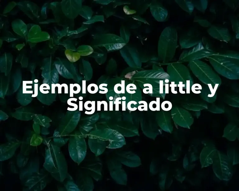 Ejemplos de a little y Significado