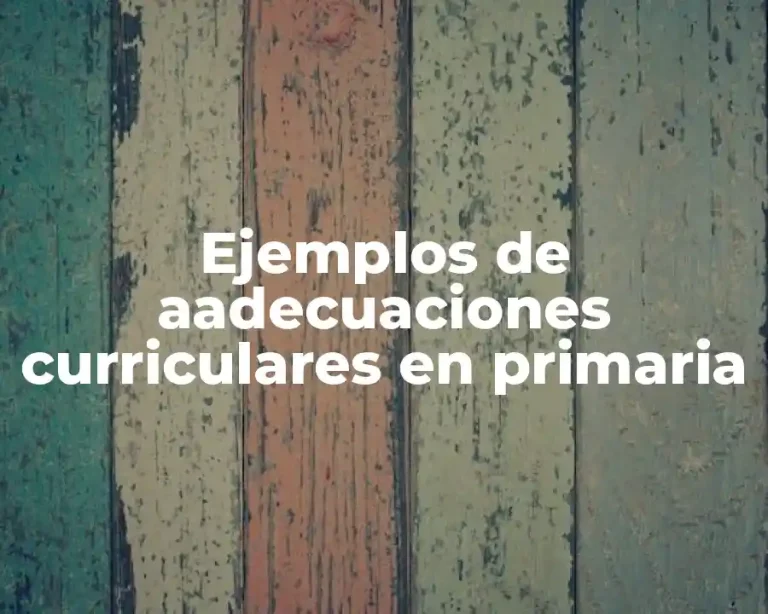Ejemplos de aadecuaciones curriculares en primaria