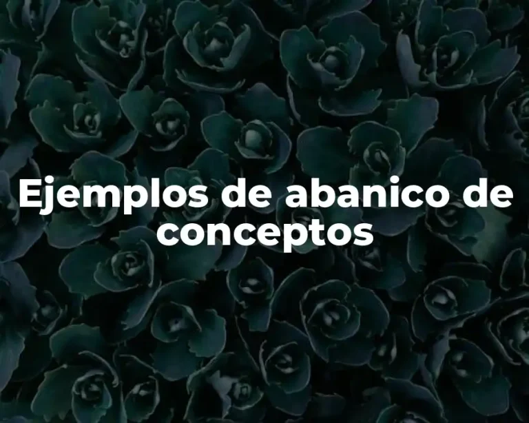 Ejemplos de abanico de conceptos
