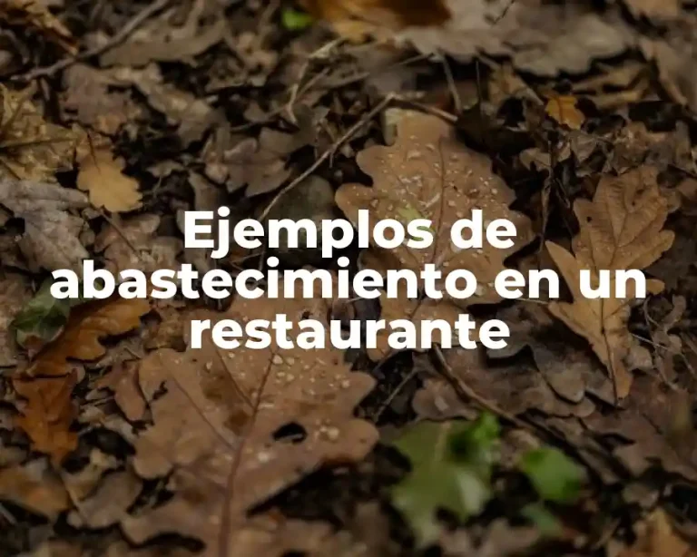 Ejemplos de abastecimiento en un restaurante