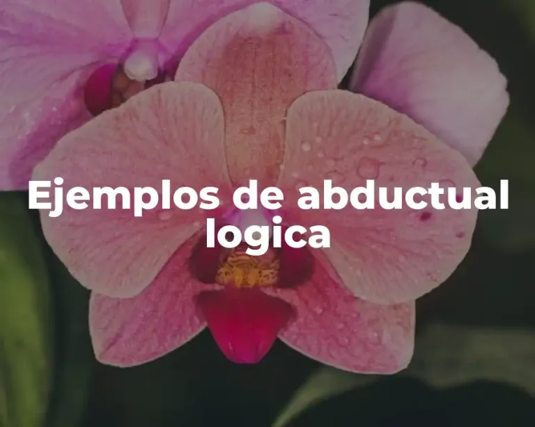 Ejemplos de abductual logica