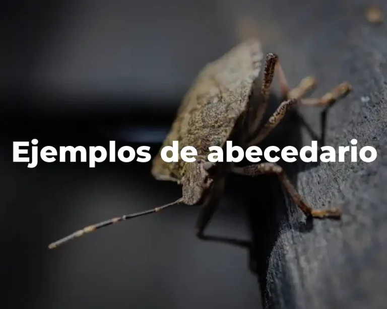 Ejemplos de abecedario