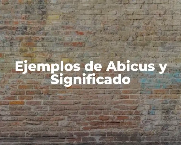 Ejemplos de Abicus y Significado
