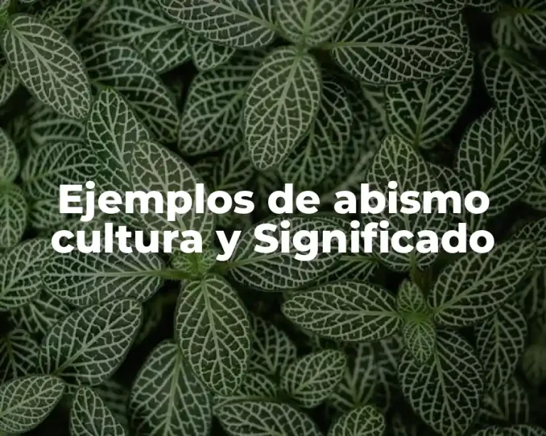 Ejemplos de abismo cultura y Significado