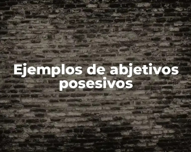 Ejemplos de abjetivos posesivos