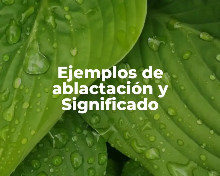 Ejemplos de ablactación y Significado