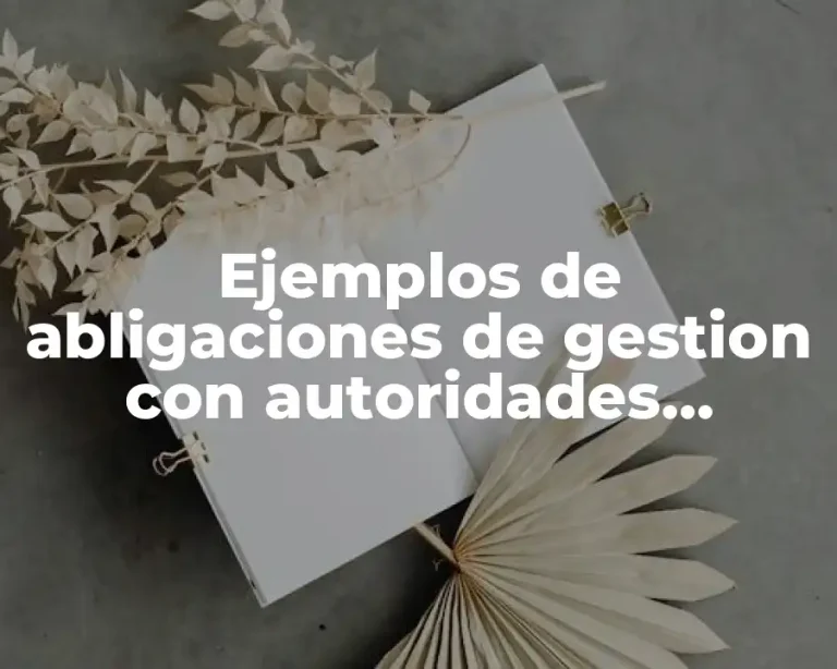 Ejemplos de abligaciones de gestion con autoridades ambientales y Significado