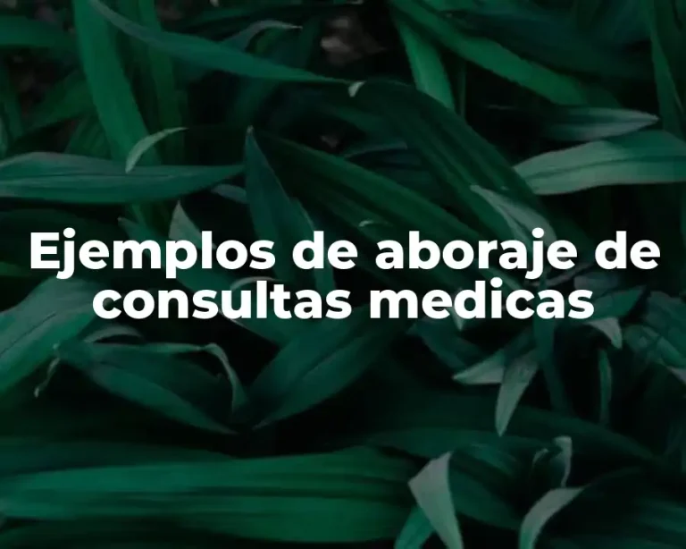 Ejemplos de aboraje de consultas medicas