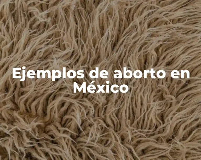 Ejemplos de aborto en México
