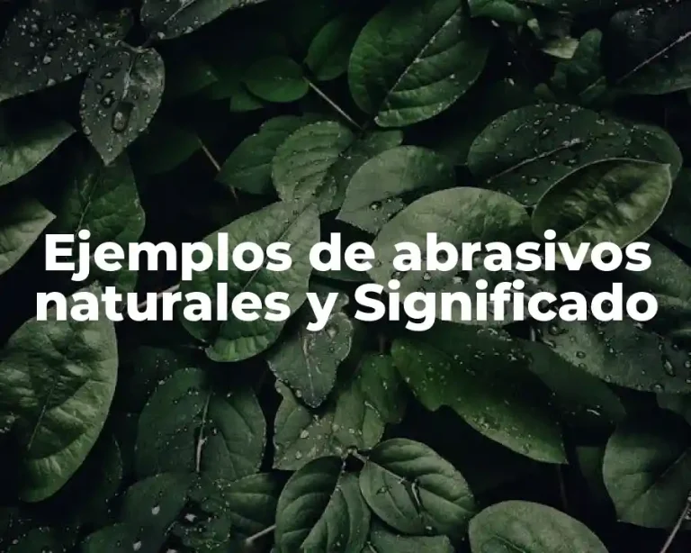 Ejemplos de abrasivos naturales y Significado
