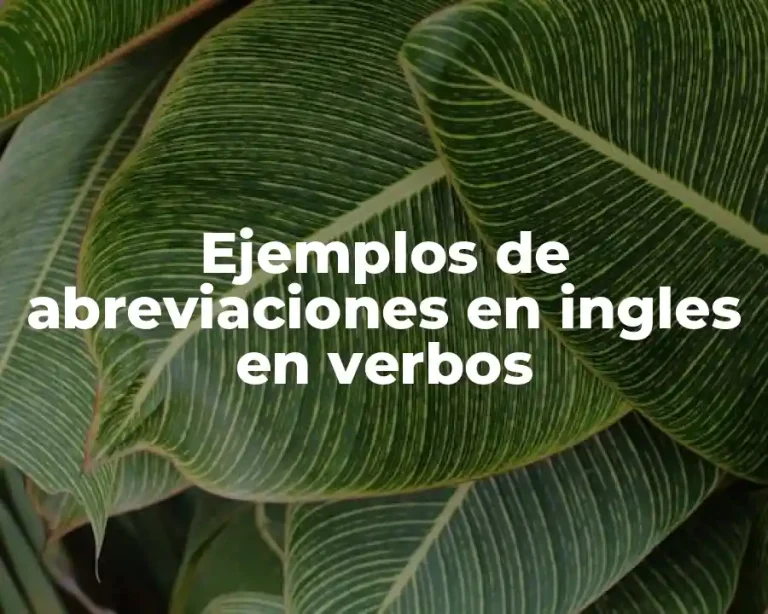 Ejemplos de abreviaciones en ingles en verbos