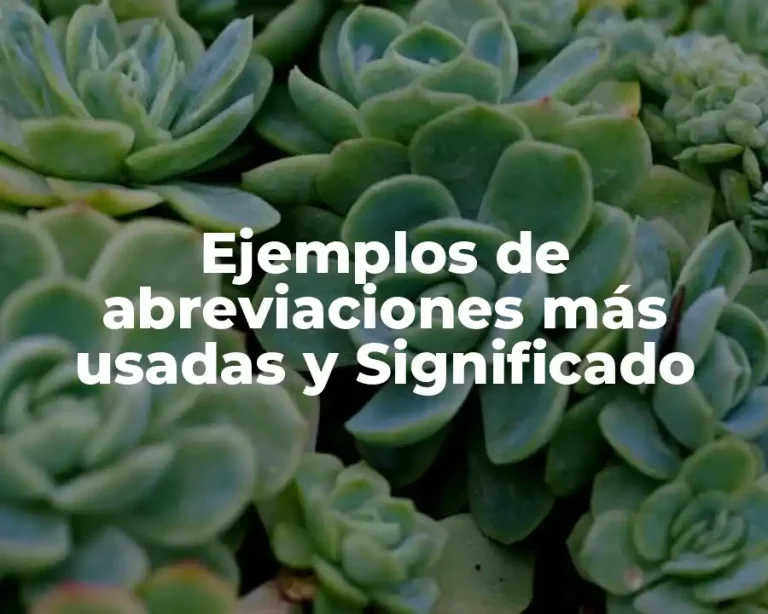 Ejemplos de abreviaciones más usadas y Significado