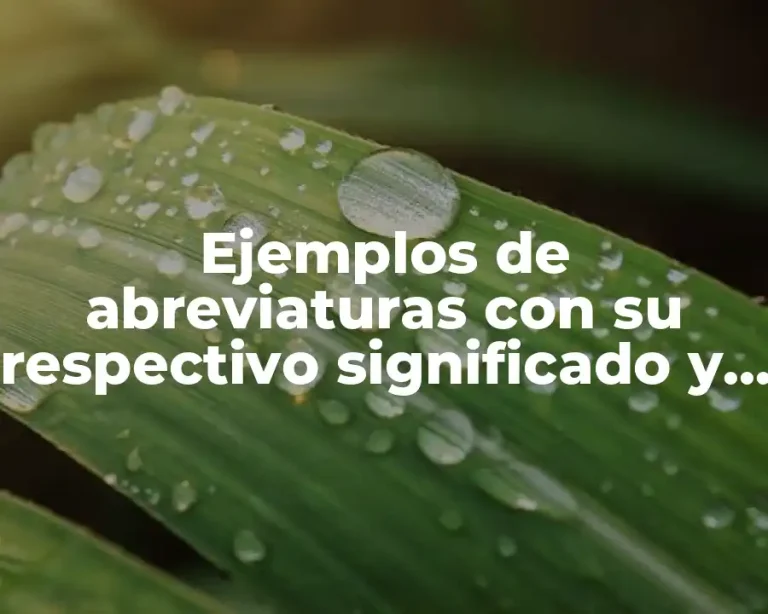 Ejemplos de abreviaturas con su respectivo significado y Significado