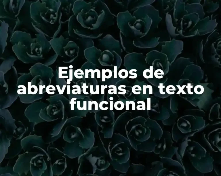 Ejemplos de abreviaturas en texto funcional