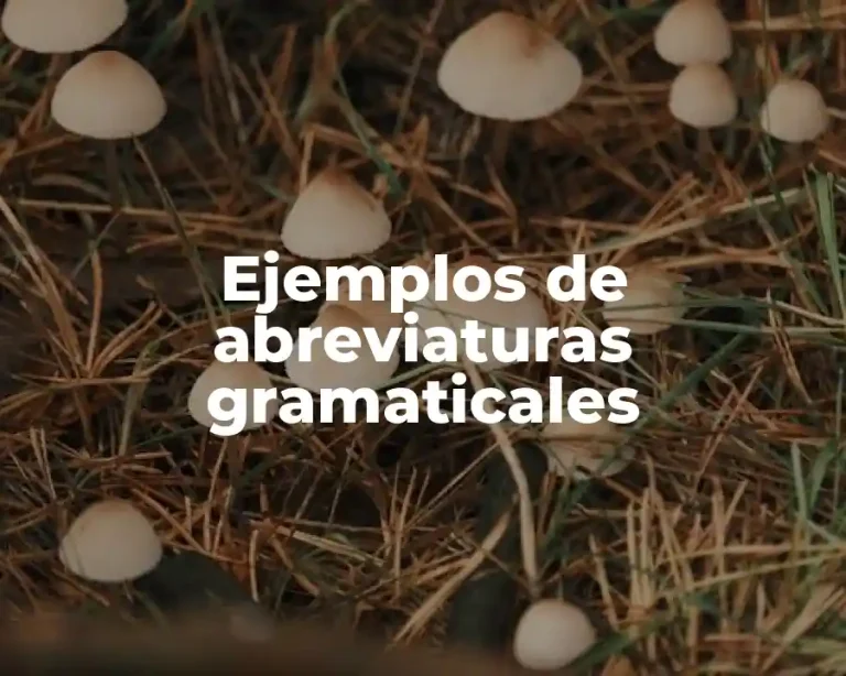 Ejemplos de abreviaturas gramaticales