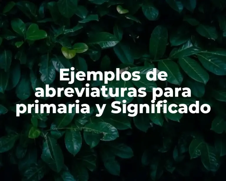 Ejemplos de abreviaturas para primaria y Significado