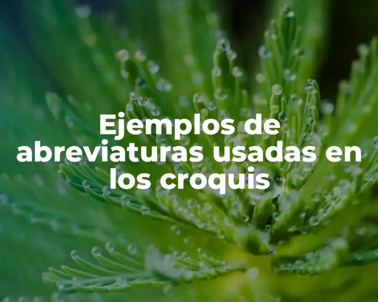 Ejemplos de abreviaturas usadas en los croquis