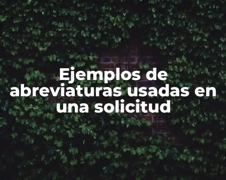 Ejemplos de abreviaturas usadas en una solicitud