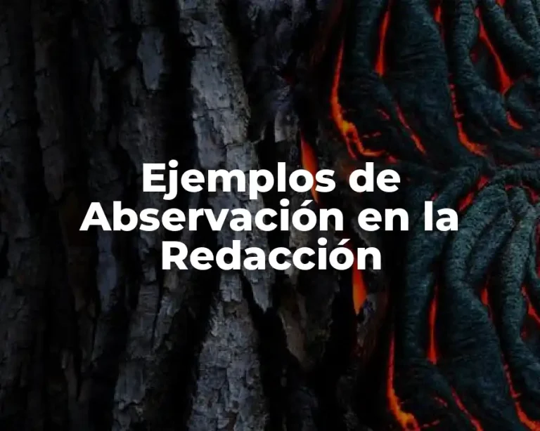 Ejemplos de Abservación en la Redacción