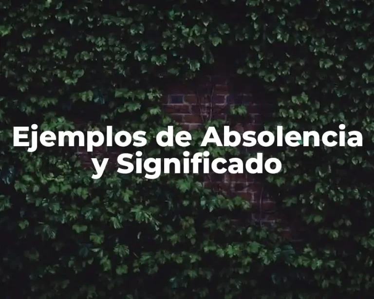 Ejemplos de Absolencia y Significado