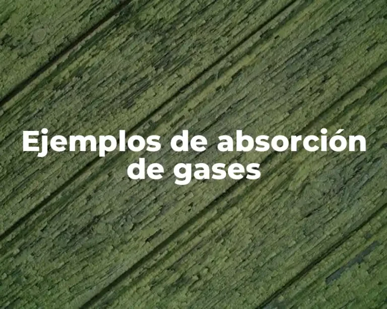 Ejemplos de absorción de gases