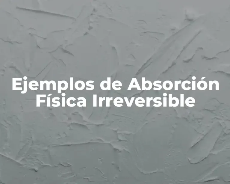 Ejemplos de Absorción Física Irreversible