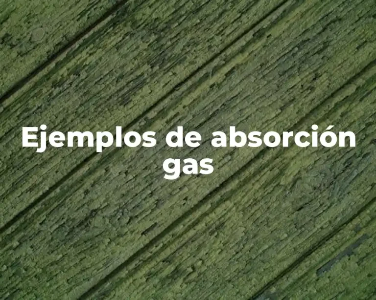 Ejemplos de absorción gas
