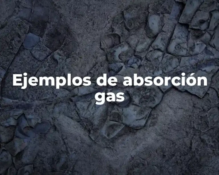 Ejemplos de absorción gas