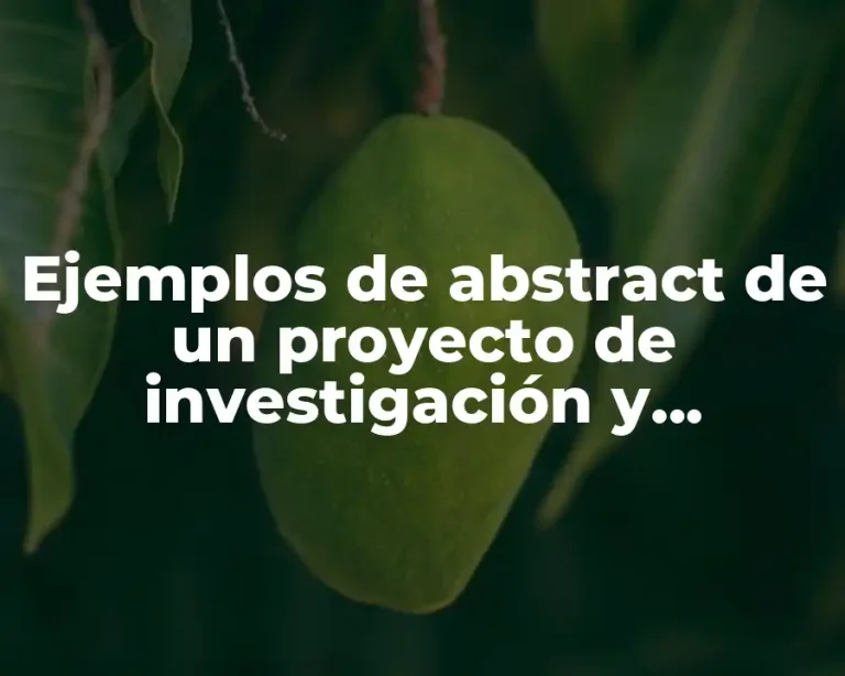 Ejemplos de abstract de un proyecto de investigación y Significado