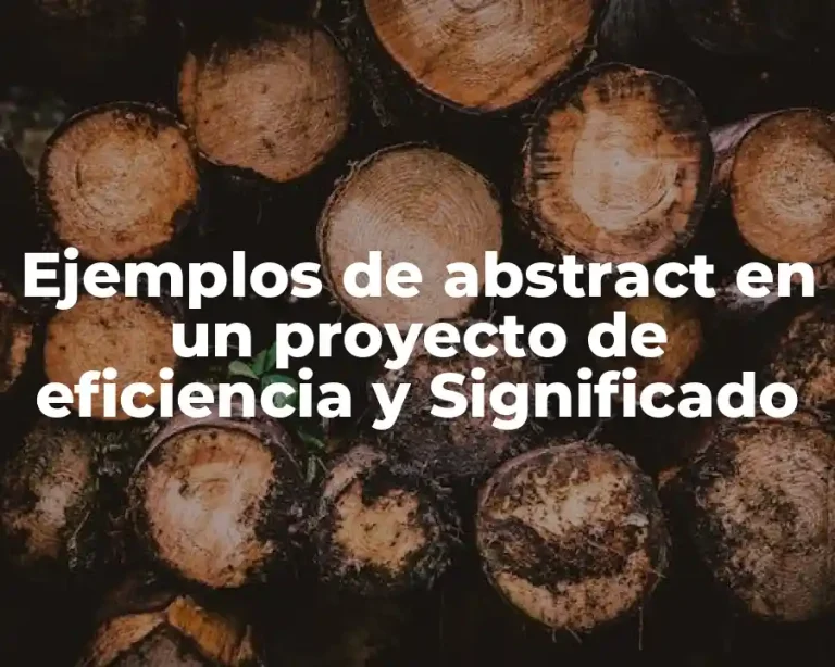 Ejemplos de abstract en un proyecto de eficiencia y Significado