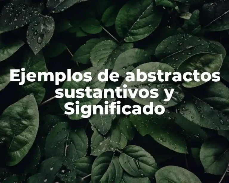 Ejemplos de abstractos sustantivos y Significado