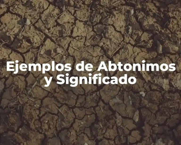 Ejemplos de Abtonimos y Significado