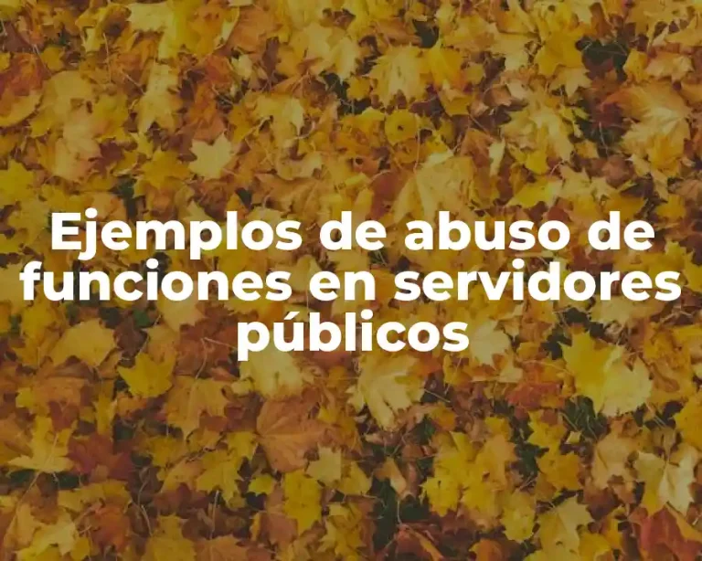 Ejemplos de abuso de funciones en servidores públicos