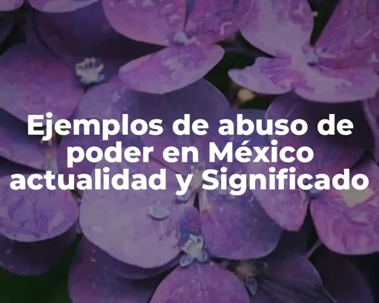 Ejemplos de abuso de poder en México actualidad y Significado