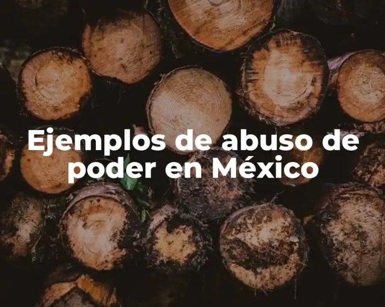 Ejemplos de abuso de poder en México