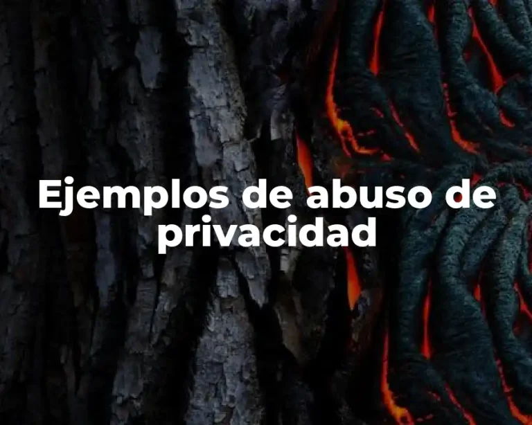 Ejemplos de abuso de privacidad