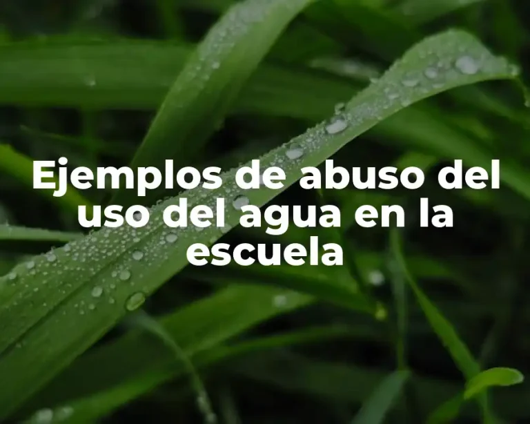 Ejemplos de abuso del uso del agua en la escuela