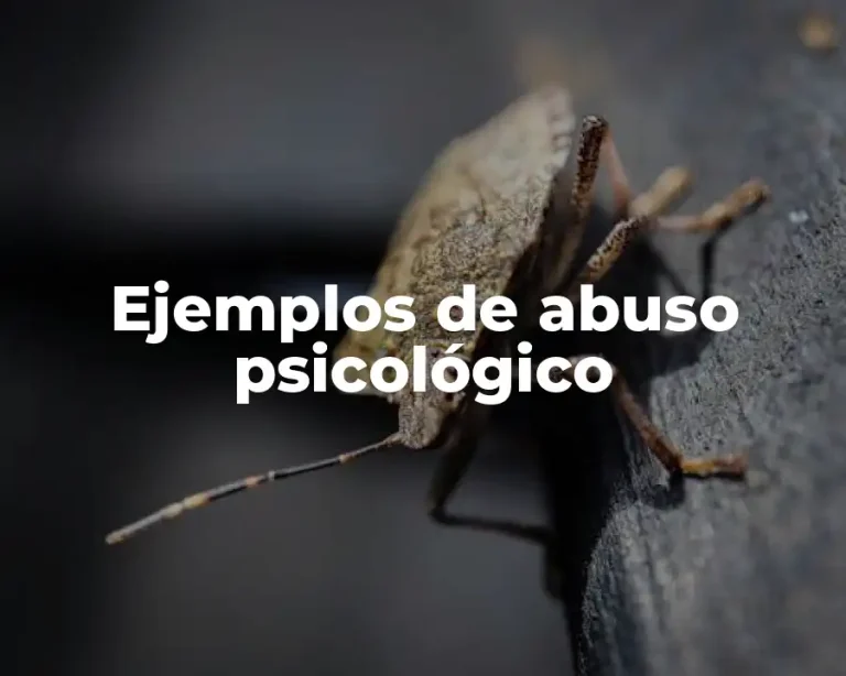 Ejemplos de abuso psicológico