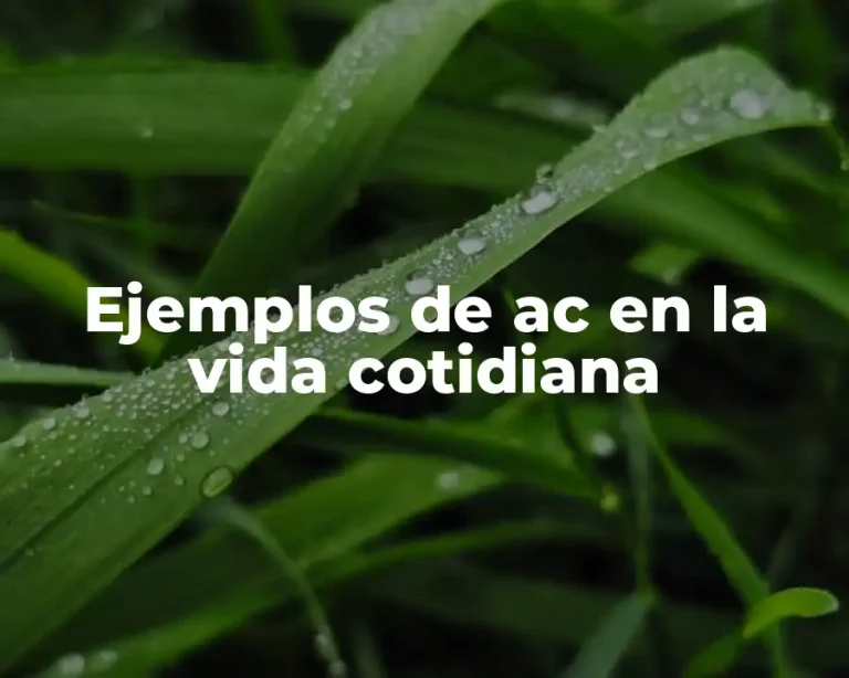 Ejemplos de ac en la vida cotidiana