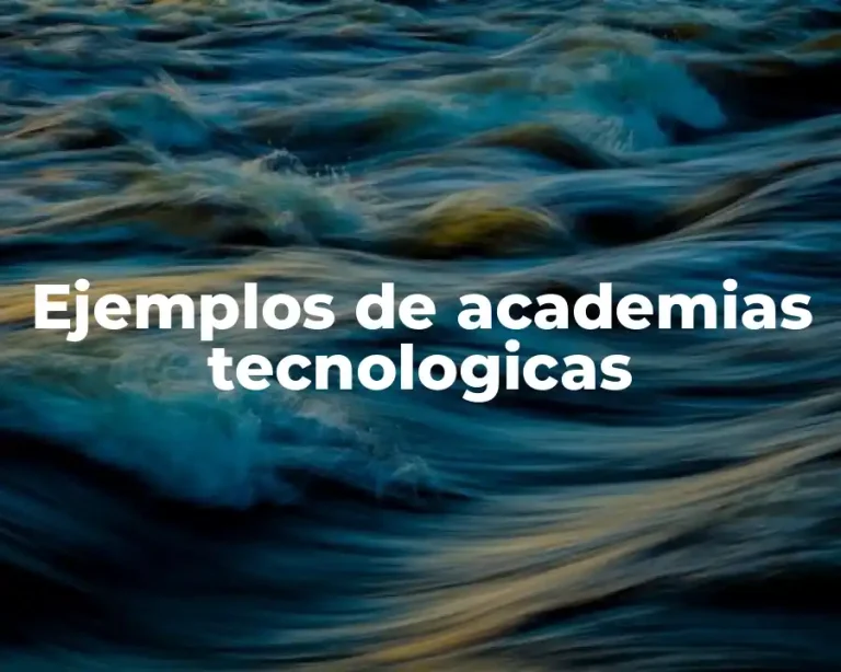 Ejemplos de academias tecnologicas