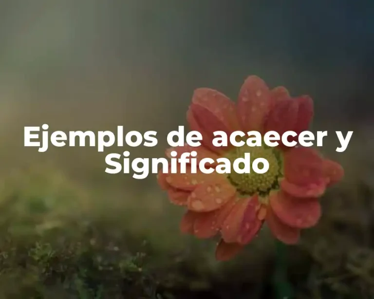 Ejemplos de acaecer y Significado