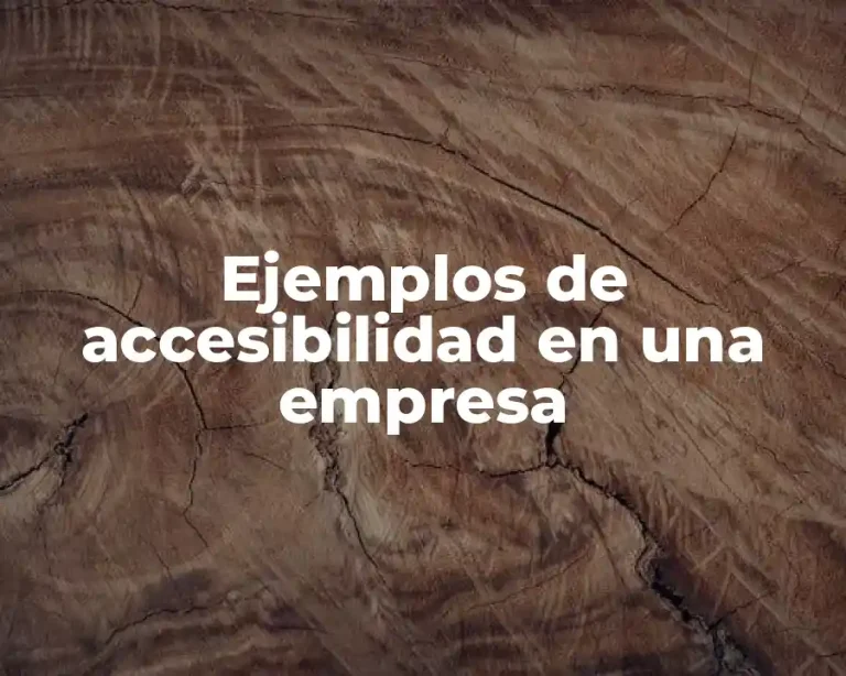 Ejemplos de accesibilidad en una empresa