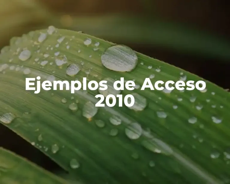 Ejemplos de Acceso 2010