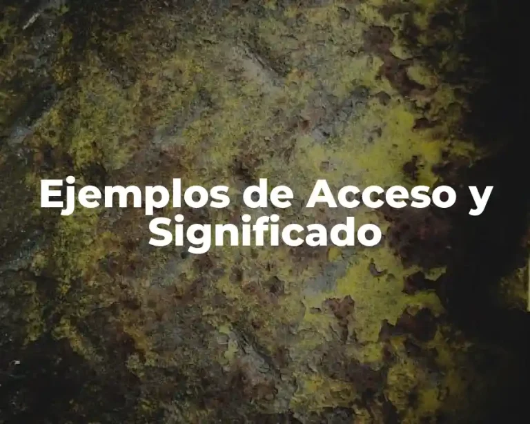 Ejemplos de Acceso y Significado