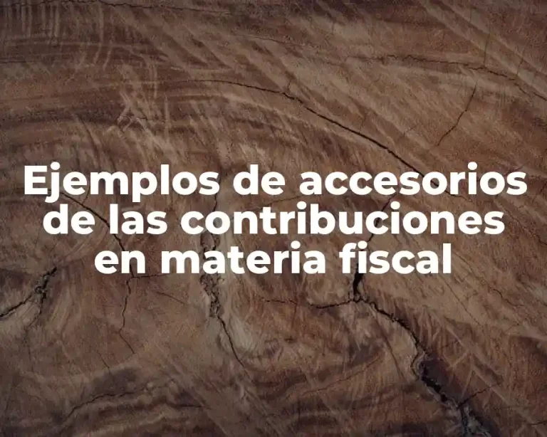 Ejemplos de accesorios de las contribuciones en materia fiscal