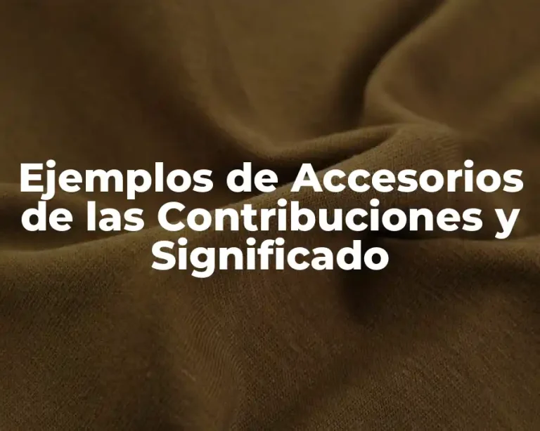 Ejemplos de Accesorios de las Contribuciones y Significado