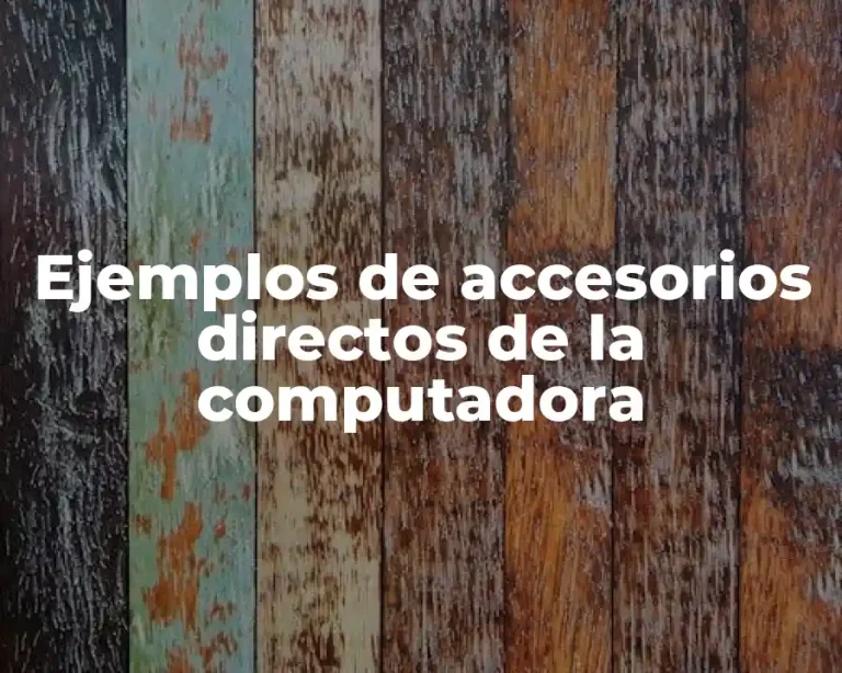 Ejemplos de accesorios directos de la computadora