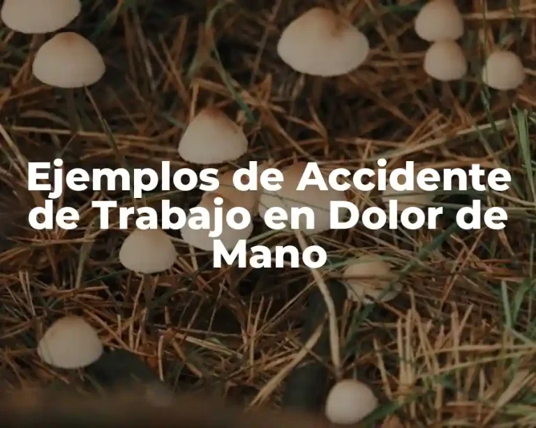 Ejemplos de Accidente de Trabajo en Dolor de Mano